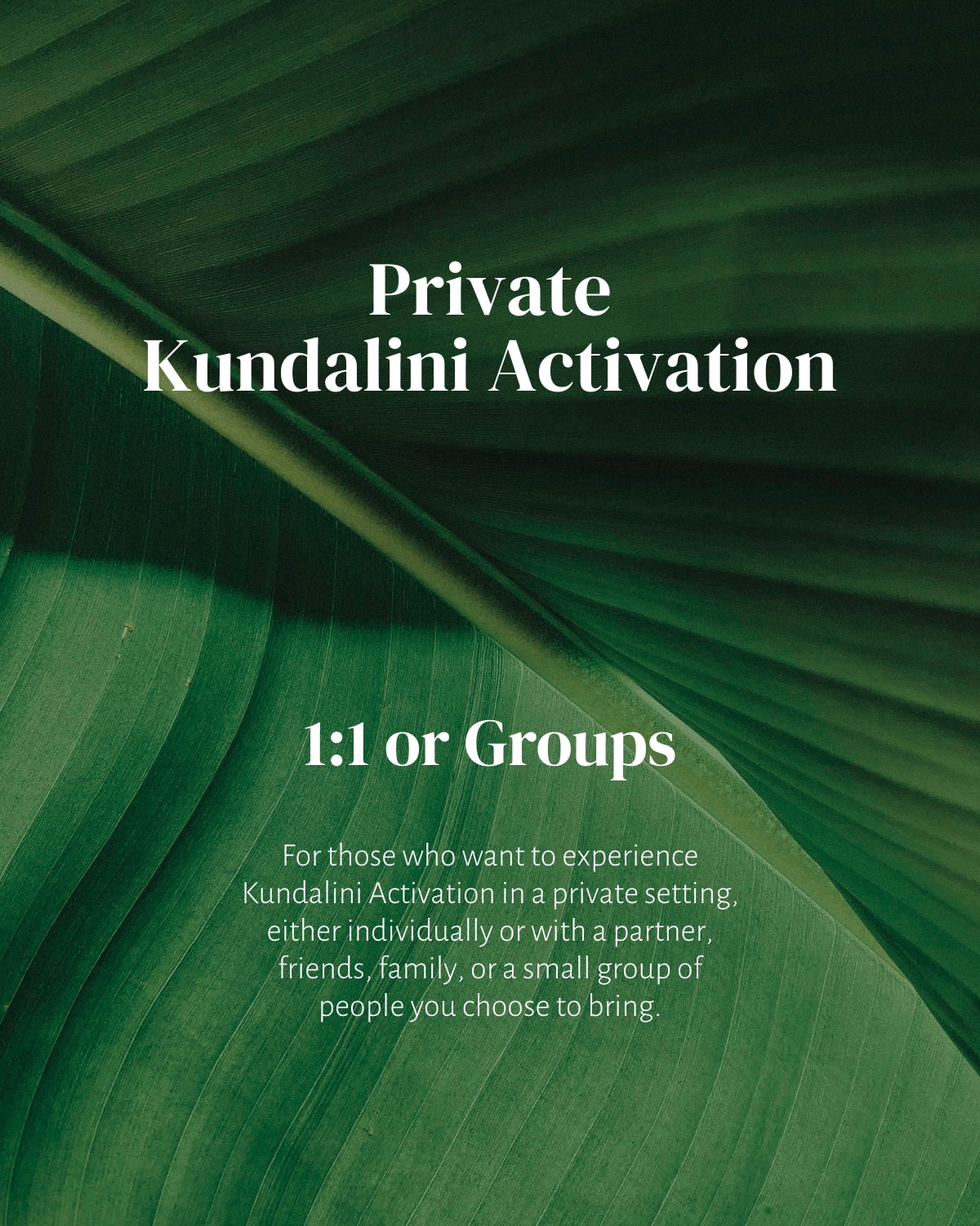 Kundalini Activation Private 1:1 or Group