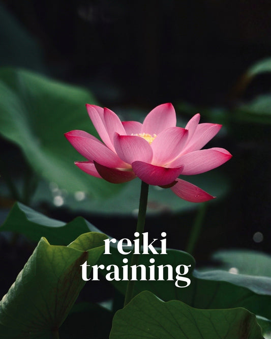 Reiki Trainings